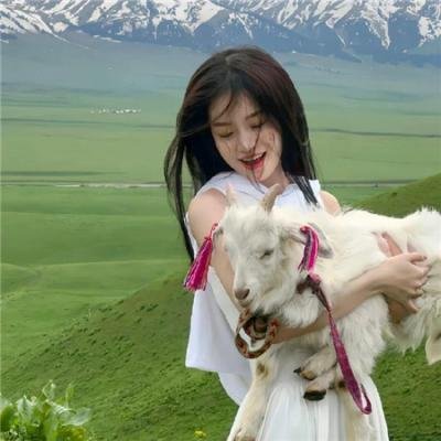 肥瑞的疯狂日记第一季